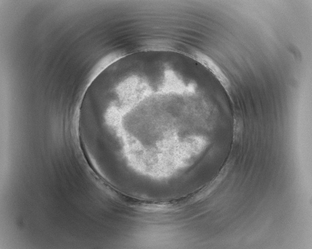 X0000116571386201001071146