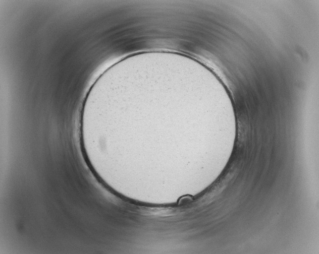 X0000116571387201001071146