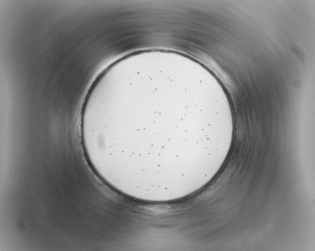 X0000116571388201001071146