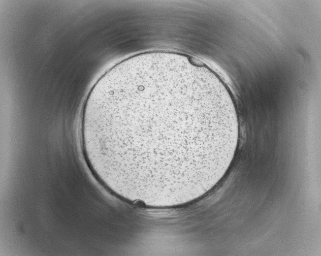 X0000116571391201001071146