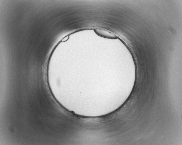 X0000116571392201001071146