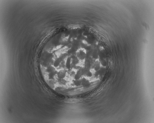 X0000116571393201001071145