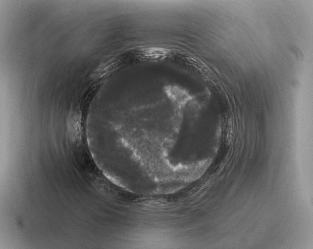 X0000116571394201001071145