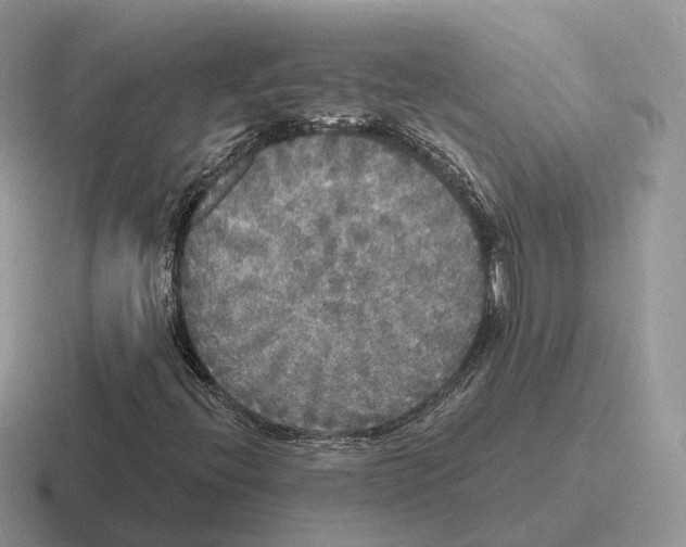 X0000116571396201001071145