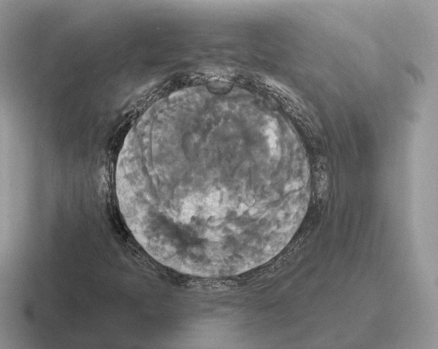 X0000116571397201001071145