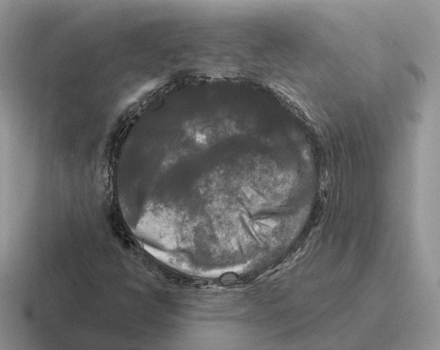 X0000116571398201001071145