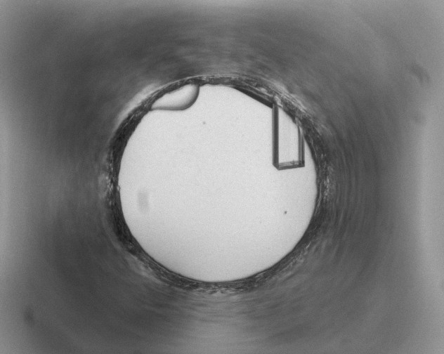 X0000116571400201001071145
