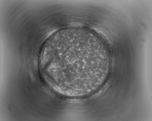 X0000116571401201001071145