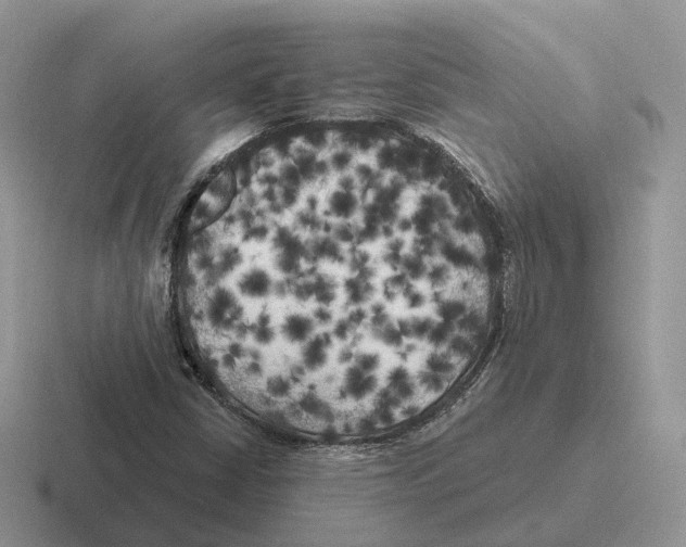 X0000116571402201001071145