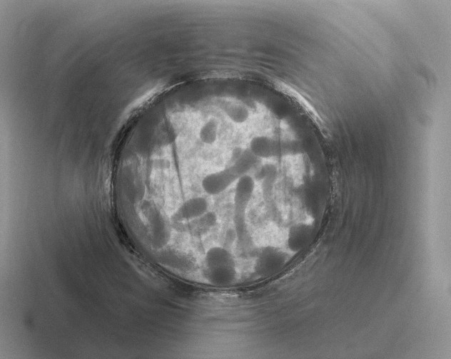 X0000116571403201001071146