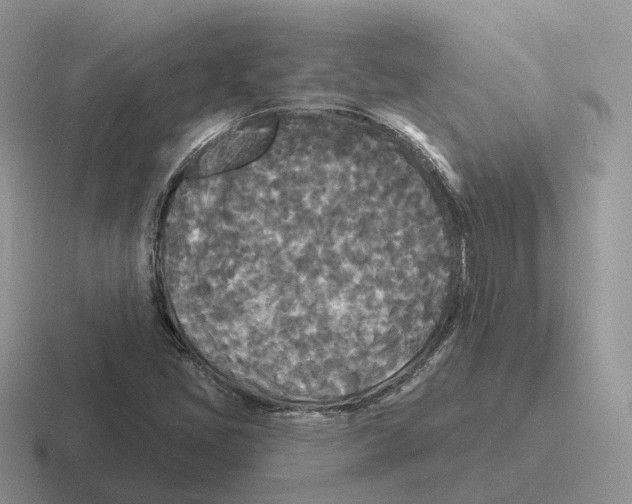 X0000116571405201001071146