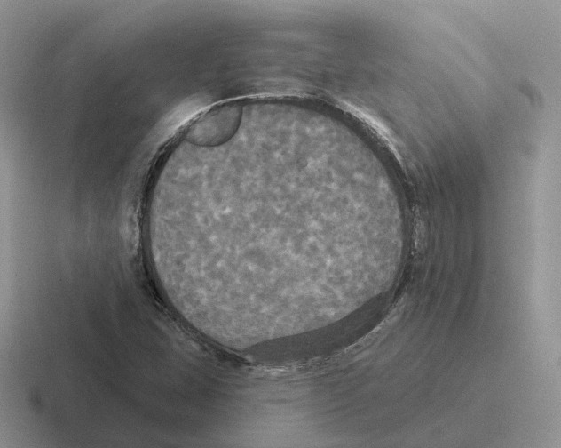 X0000116571407201001071146