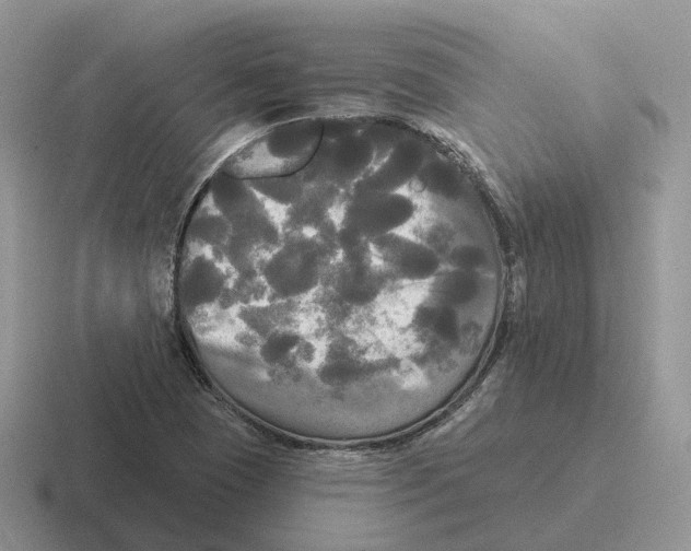 X0000116571409201001071146