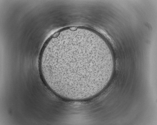 X0000116571412201001071146