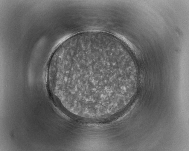 X0000116571413201001071146