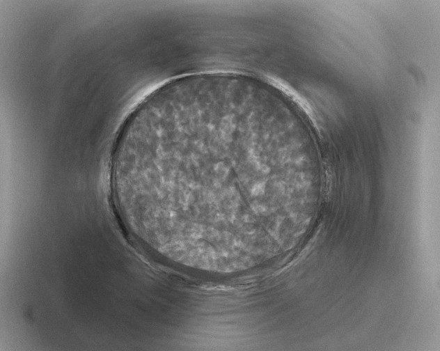 X0000116571415201001071146