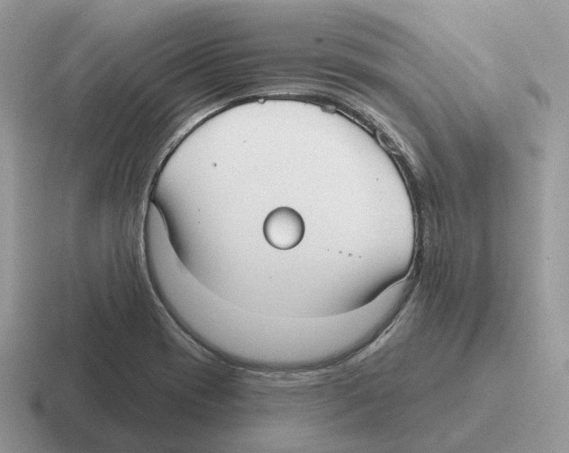 X0000116571417201001071146