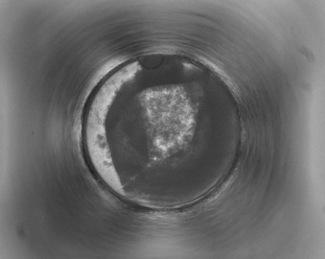 X0000116571418201001071146