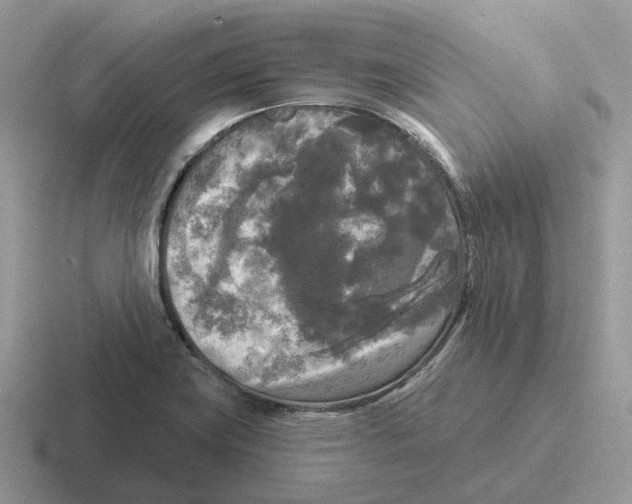 X0000116571419201001071146