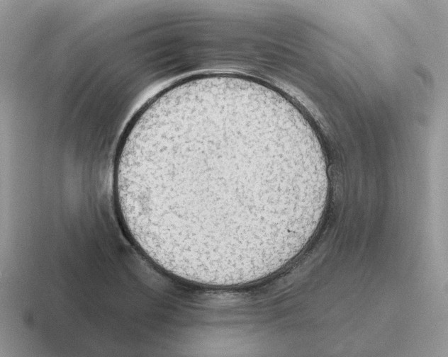 X0000116571420201001071146