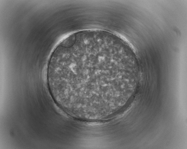 X0000116571421201001071146