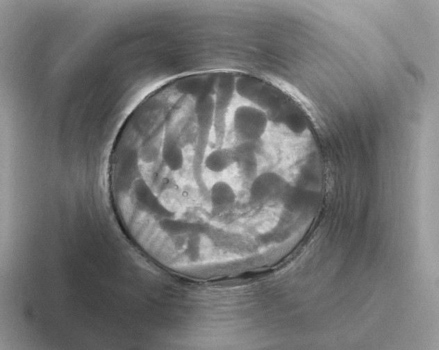 X0000116571423201001071146