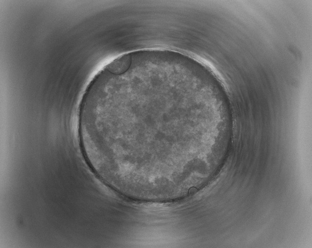 X0000116571424201001071146