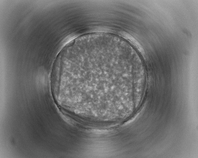 X0000116571425201001071146