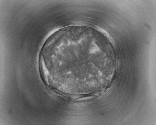 X0000116571427201001071146