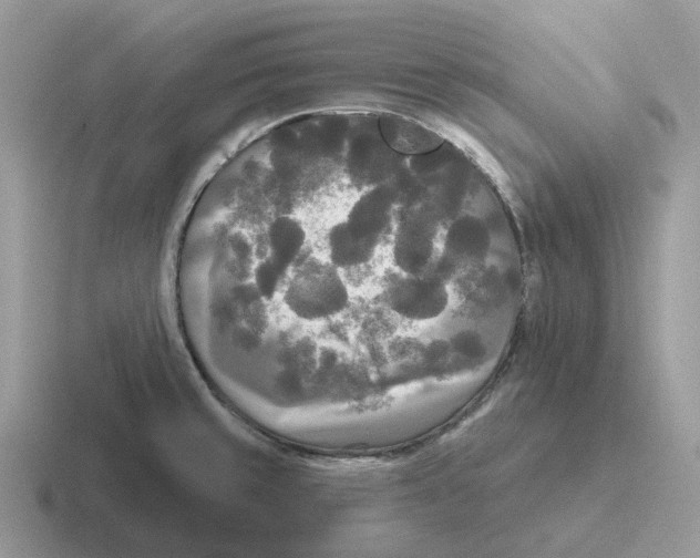 X0000116571429201001071146