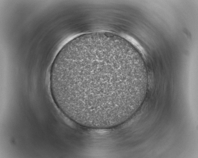 X0000116571431201001071146