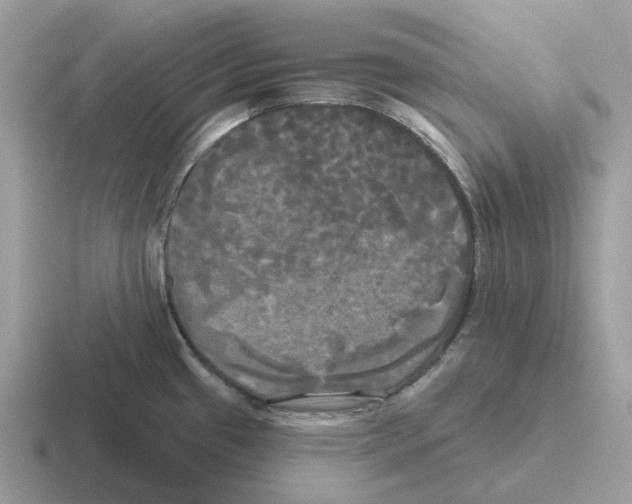 X0000116571433201001071146