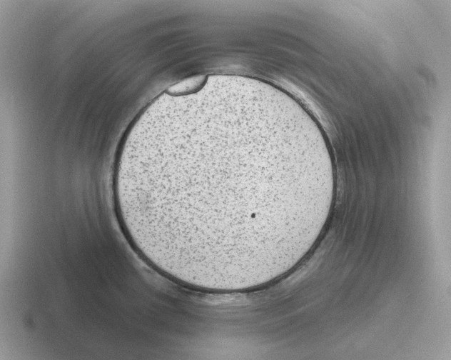 X0000116571434201001071146