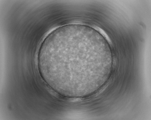 X0000116571435201001071146