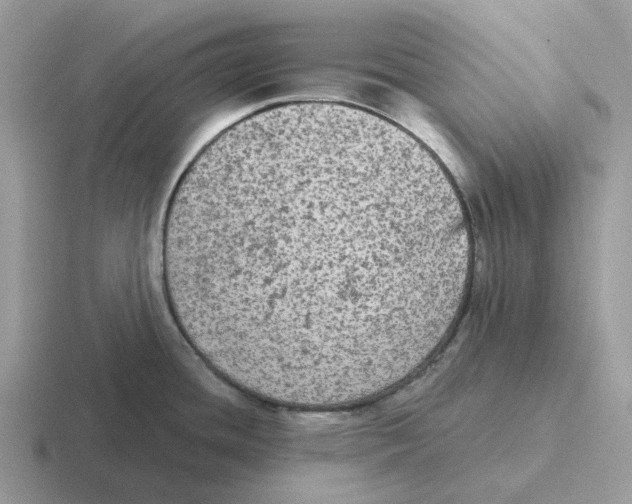 X0000116571436201001071146