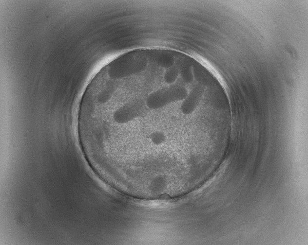 X0000116571437201001071146