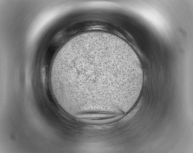 X0000116571438201001071146