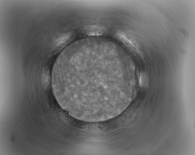 X0000116571444201001071145