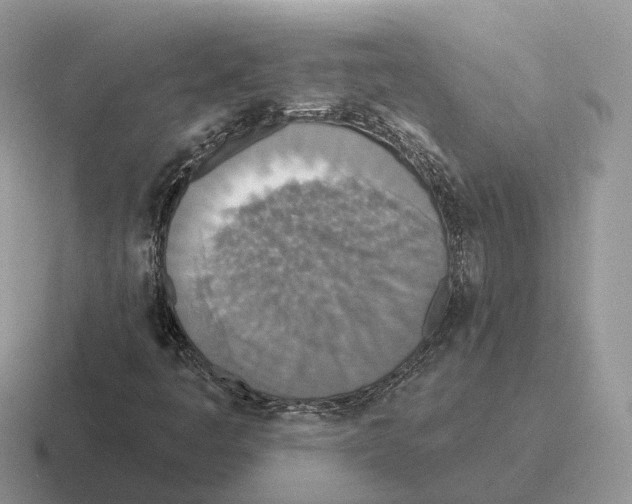 X0000116571445201001071145