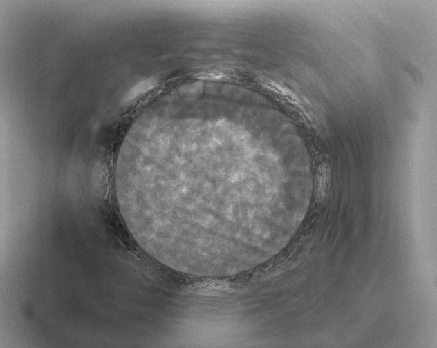 X0000116571446201001071145