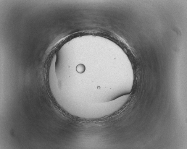 X0000116571448201001071145