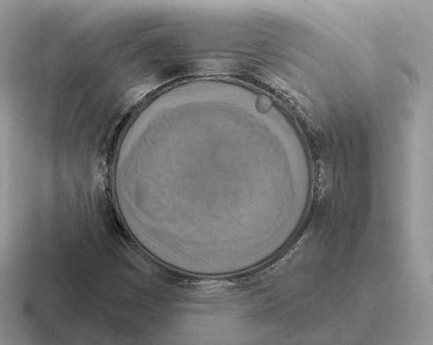 X0000116571449201001071145