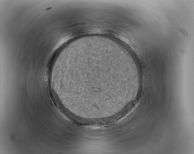 X0000116571450201001071145