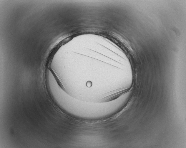 X0000116571453201001071145