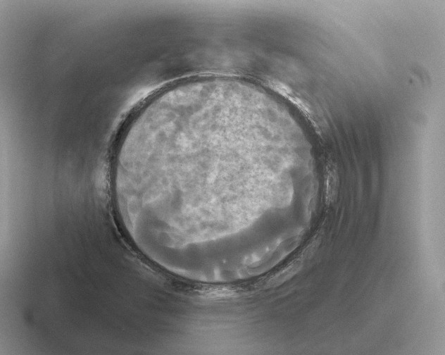 X0000116571454201001071145