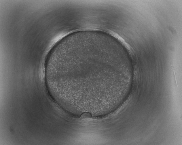 X0000116571461201001071145