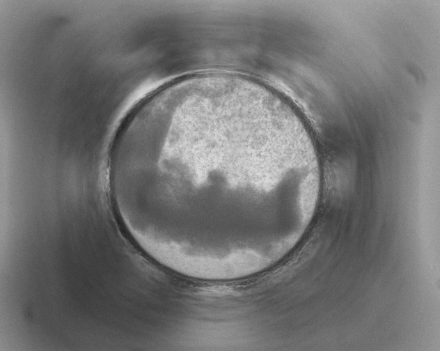 X0000116571462201001071145