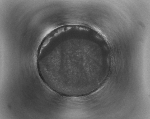 X0000116571463201001071145