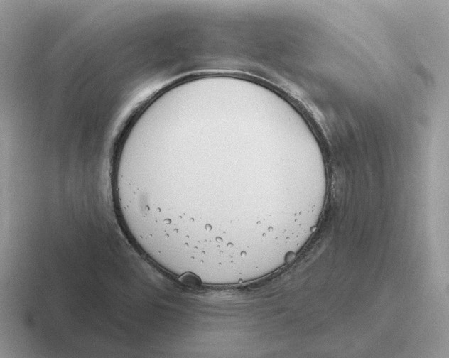 X0000116571464201001071145