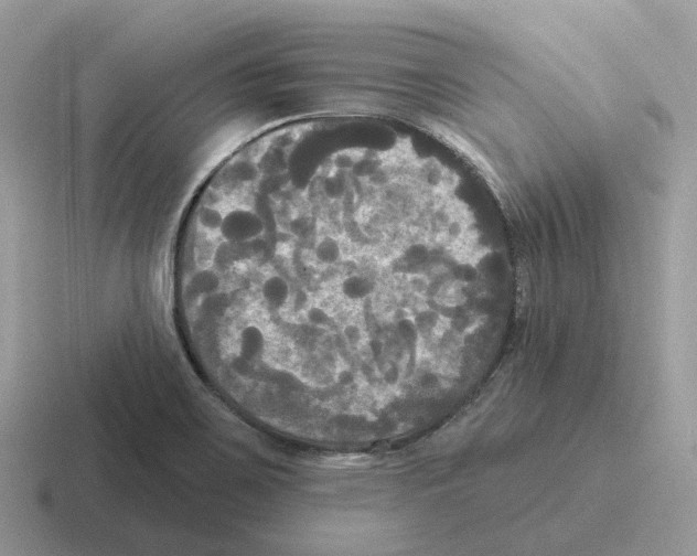 X0000116571467201001071145